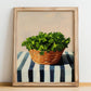 Coriander – on Striped Tablecloth, Fresh Herbs Still Life, no-text version framed in wood