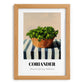 Coriander – on Striped Tablecloth, Fresh Herbs Still Life, set in oak frame