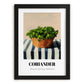 Coriander – on Striped Tablecloth, Fresh Herbs Still Life, in sleek black frame