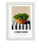 Coriander – on Striped Tablecloth, Fresh Herbs Still Life, placed in minimal white frame