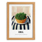 Dill – on Striped Tablecloth, Fresh Herbs Wall Decor, set in oak frame