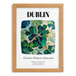 Dublin, Ireland – National Pride Wall Decor, set in oak frame