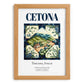 Cetona, Italy – Travel Print, set in oak frame