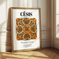 Cēsis, Latvia – Travel Wall Decor, styled in a charming Paris street view