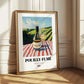 Pouilly-Fumé – French White Wine, Enoteca Illustration