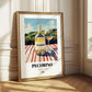 Pecorino – Italian White Wine, Wine Bar Still Life