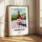 Chiaretto – Italian Rose Wine, Vinoteca Illustration